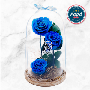 Rosa Eterna x3