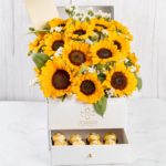 Caja Girasoles