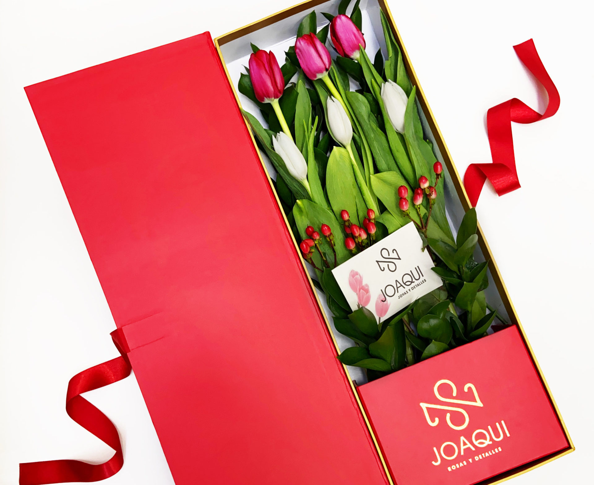 Tulipanes