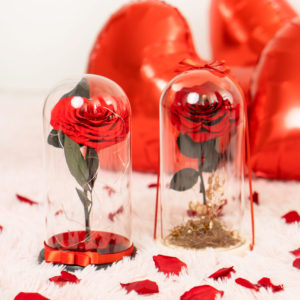 Rosa Bella - Forma de corazón