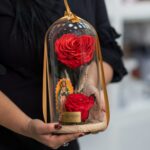 Rosa Corazón Santo
