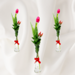 Tulipán en florero