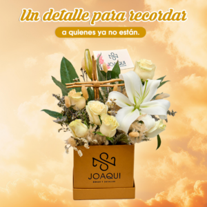 Box Luz y Esperanza