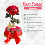 Rosa Reina